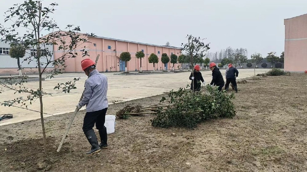 潜江农发粮油储备公司：开展粮库绿化行动，共绘生态粮仓